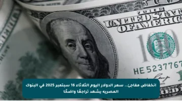 انخفاض مفاجئ.. سعر الدولار اليوم الثلاثاء 16 سبتمبر 2025 في البنوك المصرية يشهد تراجعًا واضحًا